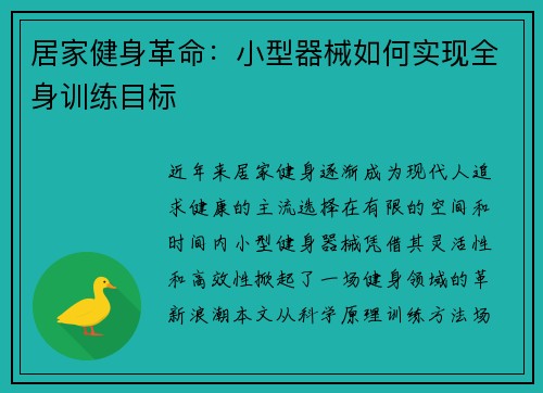 居家健身革命：小型器械如何实现全身训练目标