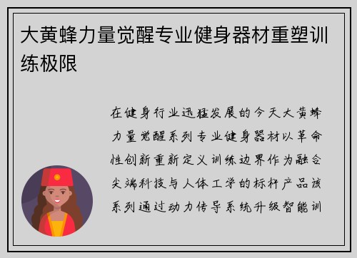 大黄蜂力量觉醒专业健身器材重塑训练极限